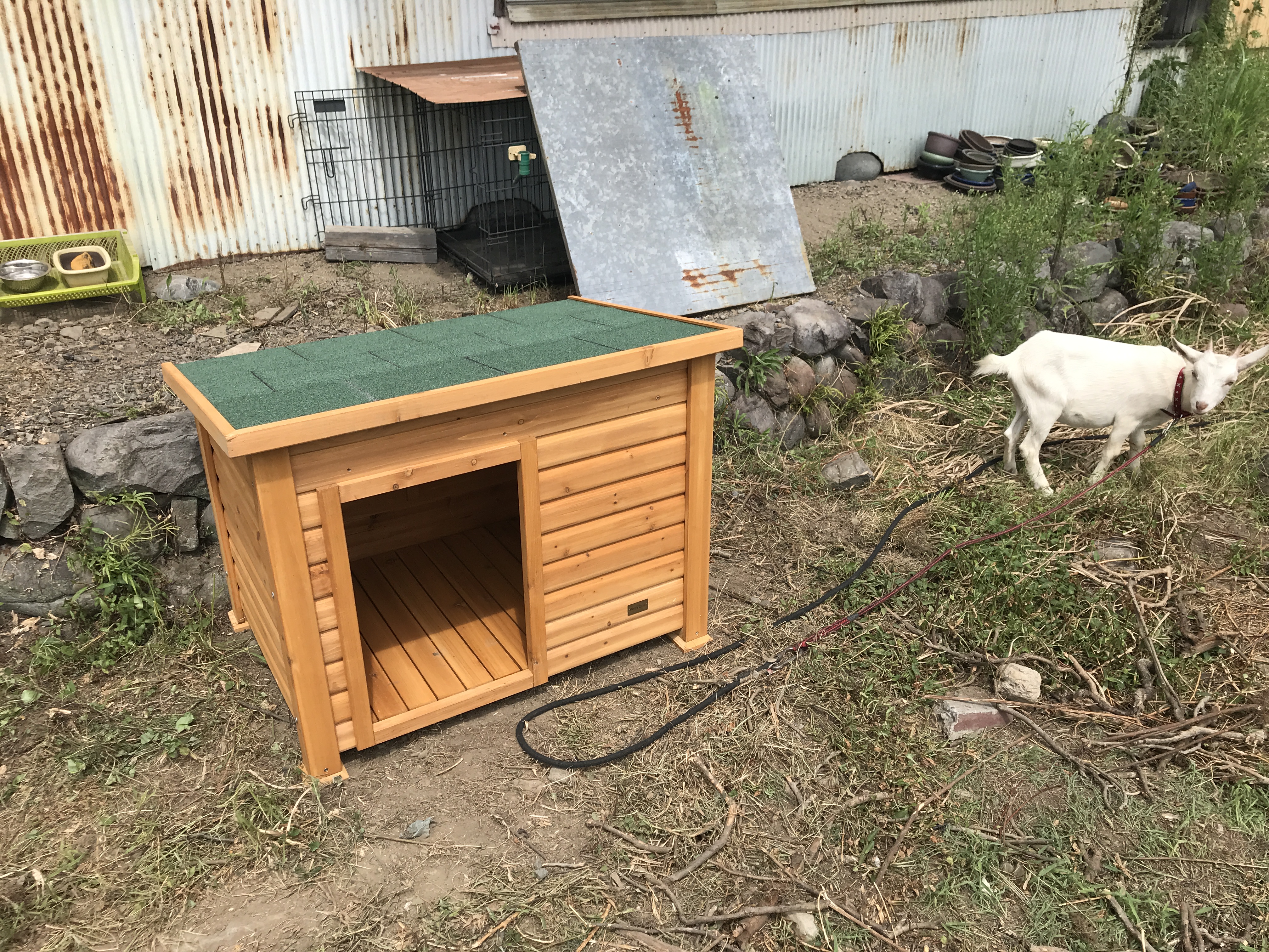 ヤギ小屋に代用 カインズホームの中型犬用の小屋を組み立てたら簡単だった りょたろぐ